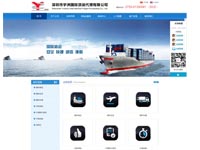 深圳市宇洲國際貨運代理有限公司官網